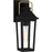 Quoizel Buckley 1 Light Outdoor Lantern, Black/Clear Beveled