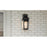 Quoizel Buckley 1 Light Outdoor Lantern, Black/Clear Beveled