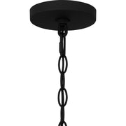 Quoizel Bowles 10in 1-Light Outdoor Lantern | Industrial Coastal Earth Black and Clear Seedy Glass | Front Porch & Patio | Model BWE1910EK