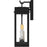 Quoizel Carmen 2Lt 16" Outdoor Lantern, Black/Clear/Tempered Panel
