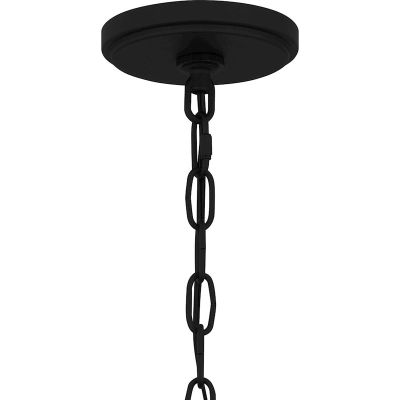 Quoizel Clifton 1 Light 19" Outdoor Lantern, Earth Black/Clear Seedy