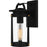 Quoizel Clifton 1 Light Outdoor Lantern, Earth Black/Clear Seedy