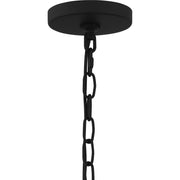 Quoizel Carolina 20in 1-Light Outdoor Hanging Lantern | Traditional Aged Copper and Clear Glass | Front Porch & Entryway | Model CLN1907AC