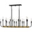Quoizel Coda Linear 16 Light Chandelier, Earth Black