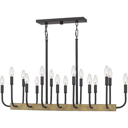Quoizel Coda Linear 16 Light Chandelier, Earth Black