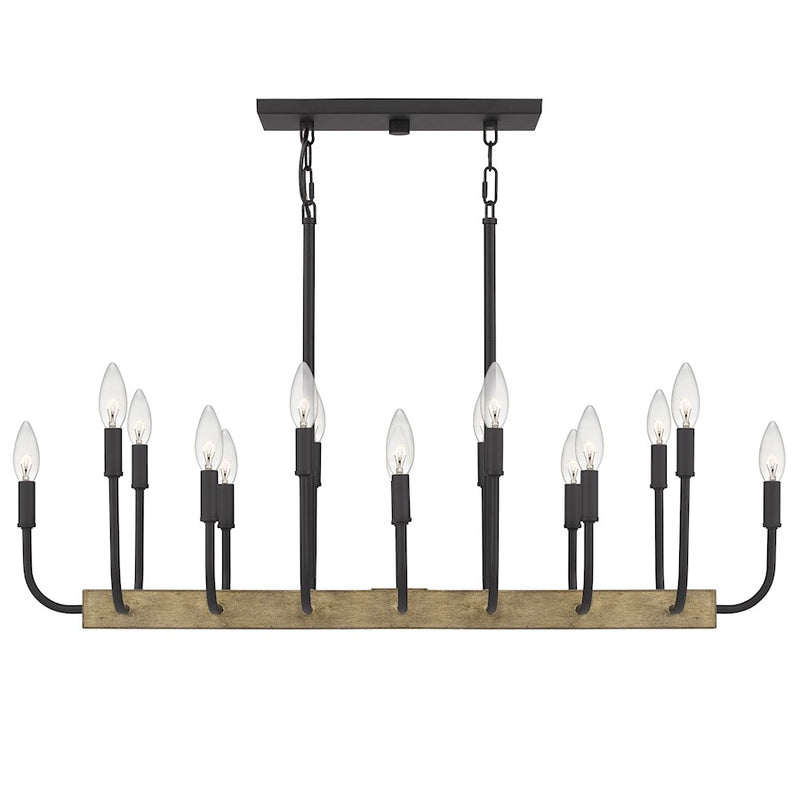 Quoizel Coda Linear 16 Light Chandelier, Earth Black