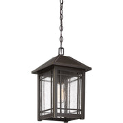 Quoizel Cedar Point 10in 1-Light Outdoor Pendant | Craftsman Palladian Bronze and Clear Seedy Glass | Covered Porch & Entryway | Model CPT1910PN