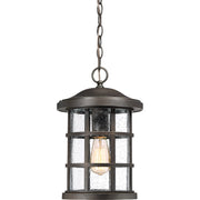 Quoizel Crusade 10in 1-Light Outdoor Lantern | Craftsman Palladian Bronze and Clear Seedy Glass | Front Porch & Entryway | Model CSE1910PN