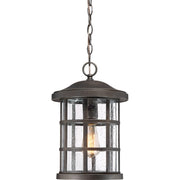 Quoizel Crusade 10in 1-Light Outdoor Lantern | Craftsman Palladian Bronze and Clear Seedy Glass | Front Porch & Entryway | Model CSE1910PN