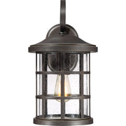 Quoizel Crusade 10in 1-Light Outdoor Wall Lantern | Craftsman Palladian Bronze and Clear Seedy Glass | Entryway & Porch | Model CSE8410PN