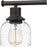 Quoizel Caverly 3 Light Bath Light, Clear Seedy