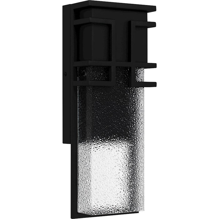 Quoizel Daymon LED 16" Outdoor Lantern, Black/Clear Diamond Glass