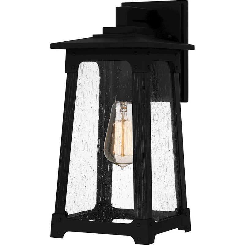 Quoizel Drescher 1 Light 14" Outdoor Lantern, Black/Clear Seedy