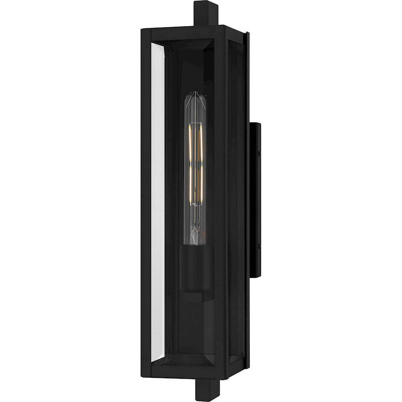 Quoizel Dale 1Lt 20" Outdoor Lantern, Black/Clear Beveled - DLE8405MBK