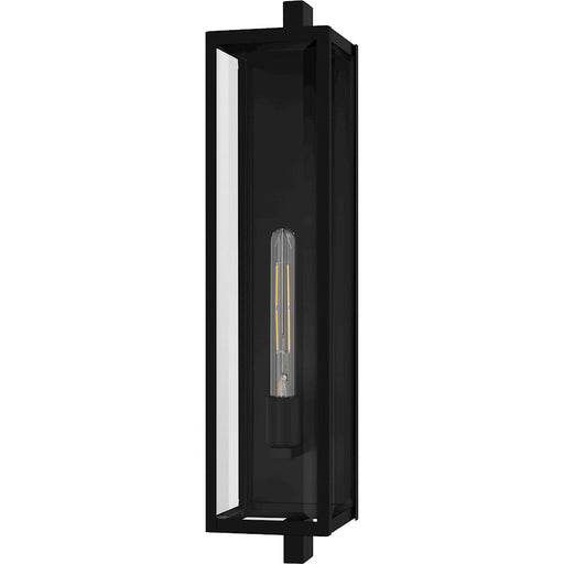 Quoizel Dale 1Lt 26" Outdoor Lantern, Black/Clear Beveled