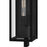 Quoizel Dale 1Lt 26" Outdoor Lantern, Black/Clear Beveled