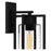 Quoizel Damien 1 Light Outdoor Lantern, Earth Black/Clear Seeded