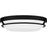 Quoizel Dunbar Flush Mount