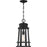 Quoizel Dunham 1 Light Outdoor Hanging, Earth Black/Seeded Glass