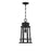 Quoizel Dunham 1 Light Outdoor Hanging, Earth Black/Seeded Glass