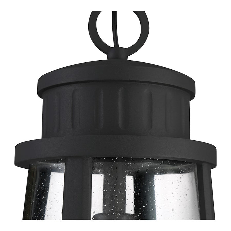 Quoizel Dunham 1 Light Outdoor Hanging, Earth Black/Seeded Glass