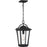 Quoizel Darius 1 Light 11" Outdoor Lantern, Earth Black