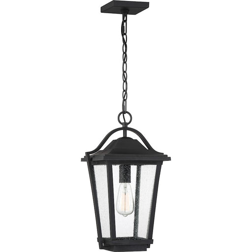 Quoizel Darius 1 Light 11" Outdoor Lantern, Earth Black
