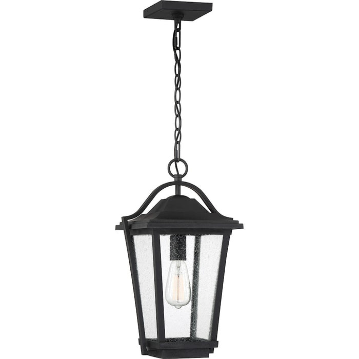 Quoizel Darius 1 Light 11" Outdoor Lantern, Earth Black