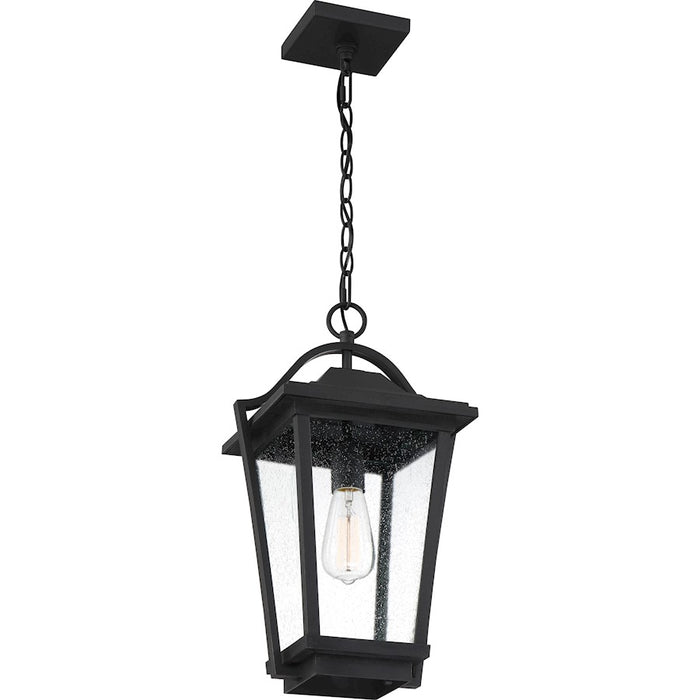 Quoizel Darius 1 Light 11" Outdoor Lantern, Earth Black