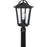 Quoizel Darius 1 Light Square Outdoor Lantern, Earth Black