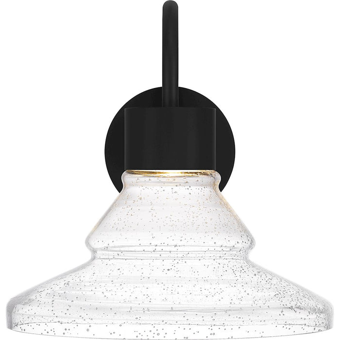 Quoizel Felix Outdoor Lantern, Matte Black/Clear Seedy