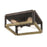 Quoizel Finn 4 Light Flush Mount, Rustic Black
