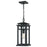 Quoizel Granby 1 Light Outdoor Hanging Lantern, Earth Black
