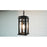 Quoizel Granby 1 Light Outdoor Hanging Lantern, Earth Black