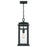 Quoizel Granby 1 Light Outdoor Hanging Lantern, Earth Black