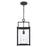 Quoizel Garrett 1 Light Outdoor Hanging, Matte Black/Clear