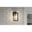 Quoizel Hazel 1 Light Outdoor Lantern, Earth Black/Clear Seeded