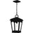 Quoizel Huck 1Light Mini Pendant, Earth Black/Clear Seedy Glass - HUK1510EK