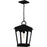 Quoizel Huck 1Light Mini Pendant, Earth Black/Clear Seedy Glass