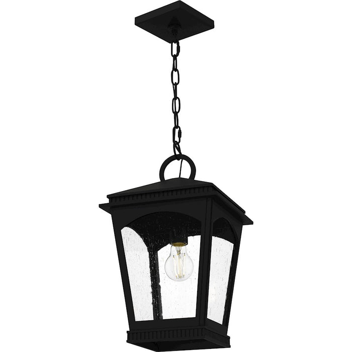 Quoizel Huck 1Light Mini Pendant, Earth Black/Clear Seedy Glass