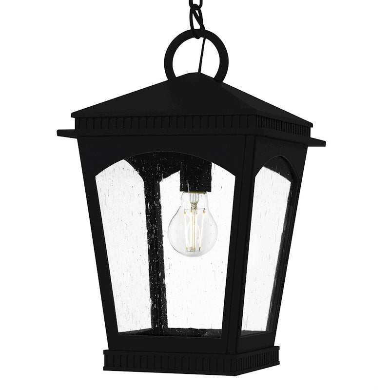 Quoizel Huck 1Light Mini Pendant, Earth Black/Clear Seedy Glass