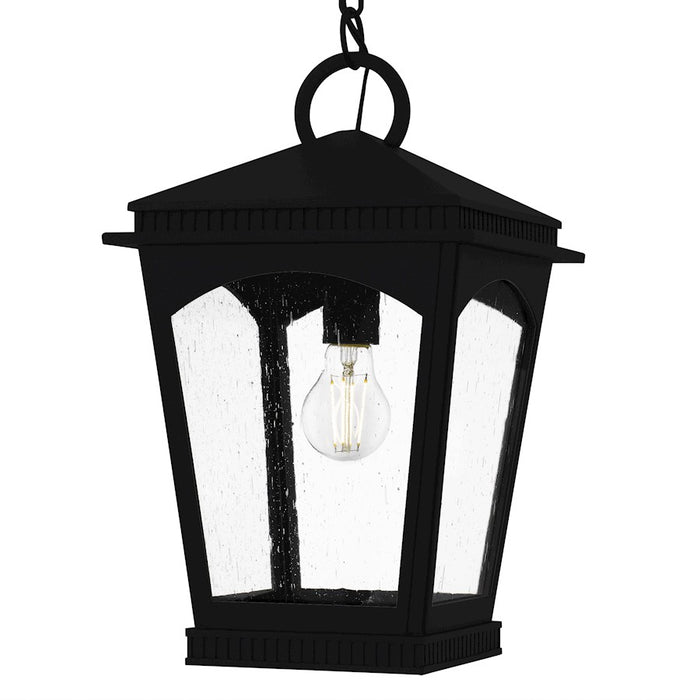Quoizel Huck 1Light Mini Pendant, Earth Black/Clear Seedy Glass
