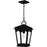 Quoizel Huck 1Lt 18" Outdoor Lantern, Earth Black/Clear Seedy