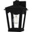 Quoizel Huck 1Lt 11" Outdoor Lantern, Earth Black/Clear Seedy - HUK8406EK