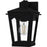 Quoizel Huck 1Lt 11" Outdoor Lantern, Earth Black/Clear Seedy