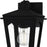 Quoizel Huck 1Lt 11" Outdoor Lantern, Earth Black/Clear Seedy