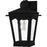 Quoizel Huck 1Lt 13" Outdoor Lantern, Earth Black/Clear Seedy
