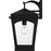 Quoizel Huck 1Lt 17" Outdoor Lantern, Earth Black/Clear Seedy