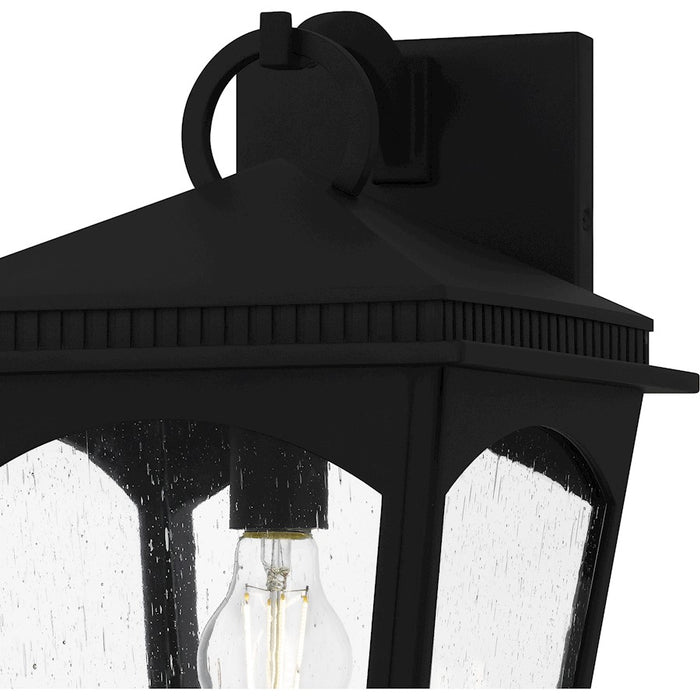 Quoizel Huck 1Lt 17" Outdoor Lantern, Earth Black/Clear Seedy