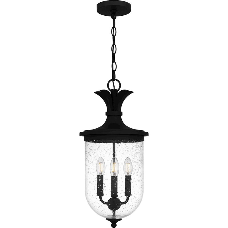 Quoizel Havana 3 Light 22" Outdoor Lantern, Earth Black/Clear Seedy